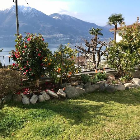 Brione sopra Minusio Camera Con Bagno Privato E Giardino المظهر الخارجي الصورة